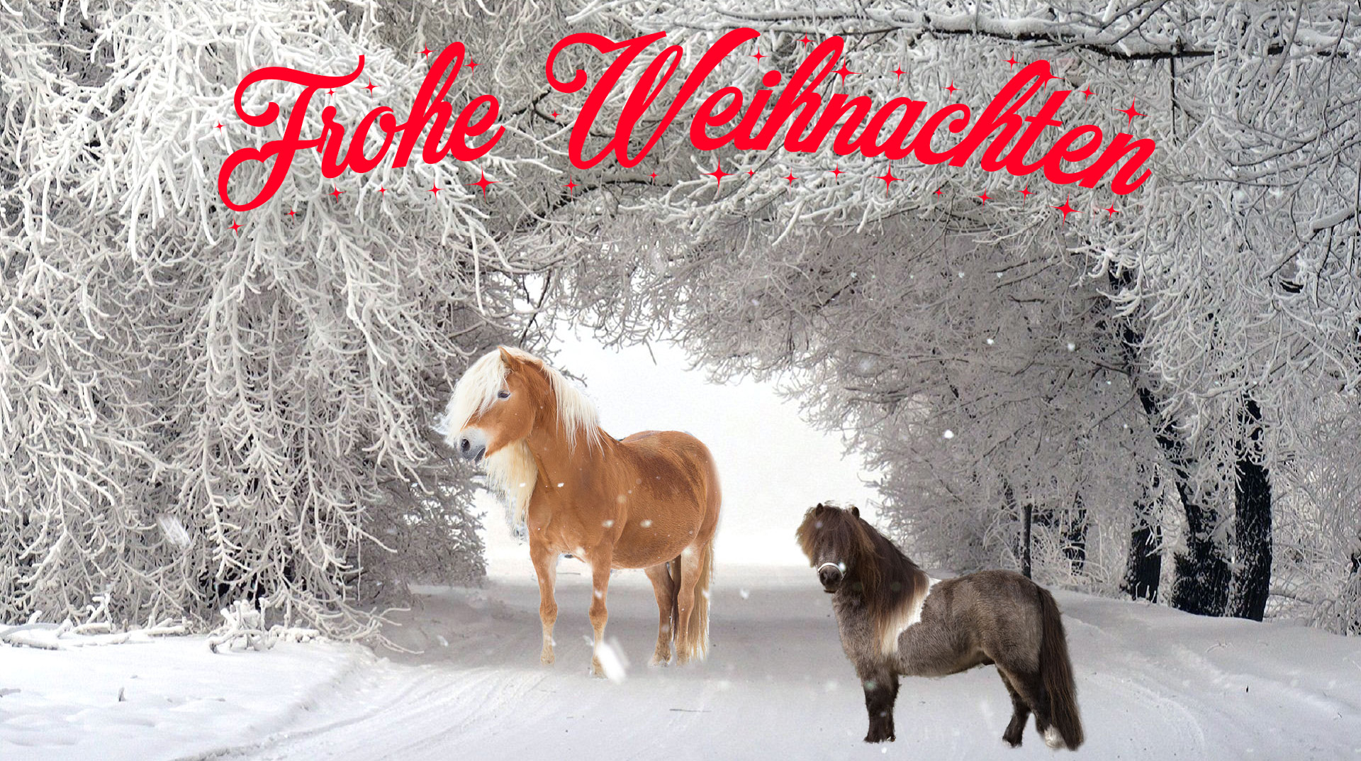 Weihnachtsgruess2016